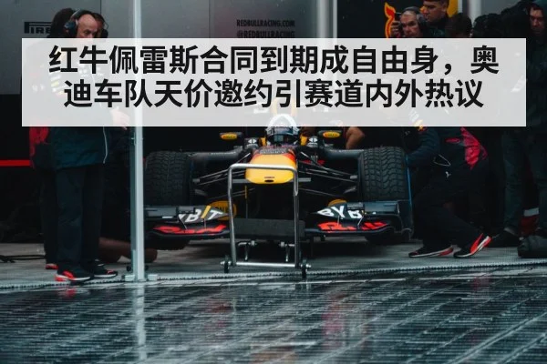 Red Bull racing team